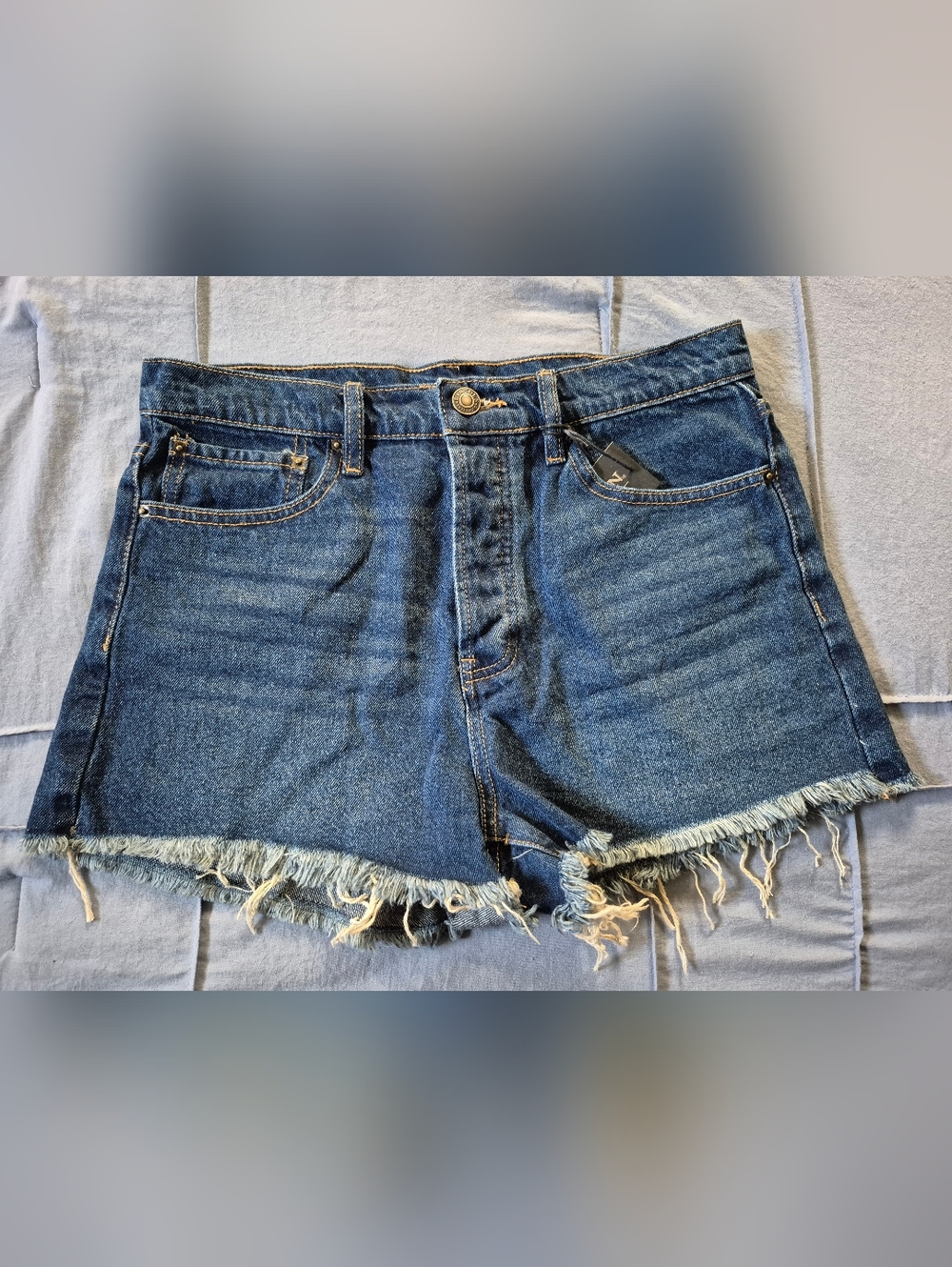 High-Rise Frayed Hem Denim Shorts - Blue